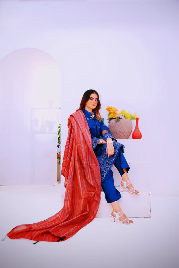 StyleOMania 3Pc Embroidered Suit