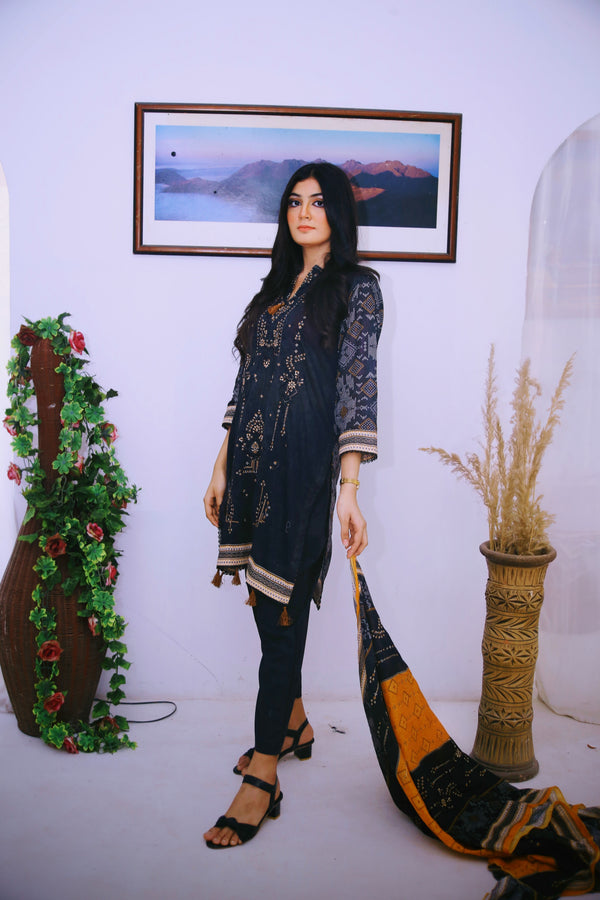 StyleOMania 3Pc Embroidered Suit