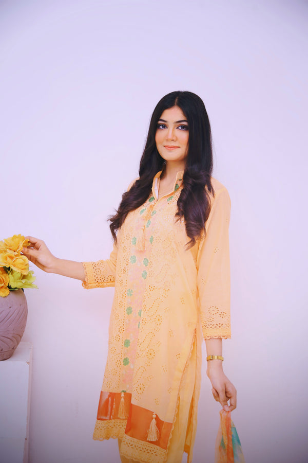 StyleOMania 3Pc Embroidered Suit